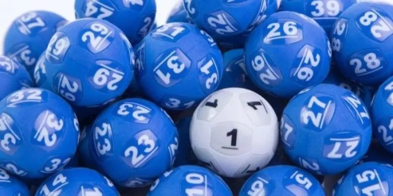 Bạch Thủ Lô Là Gì? Bí Quyết Đánh 1 Ăn Nhiều Cho Người Chơi 